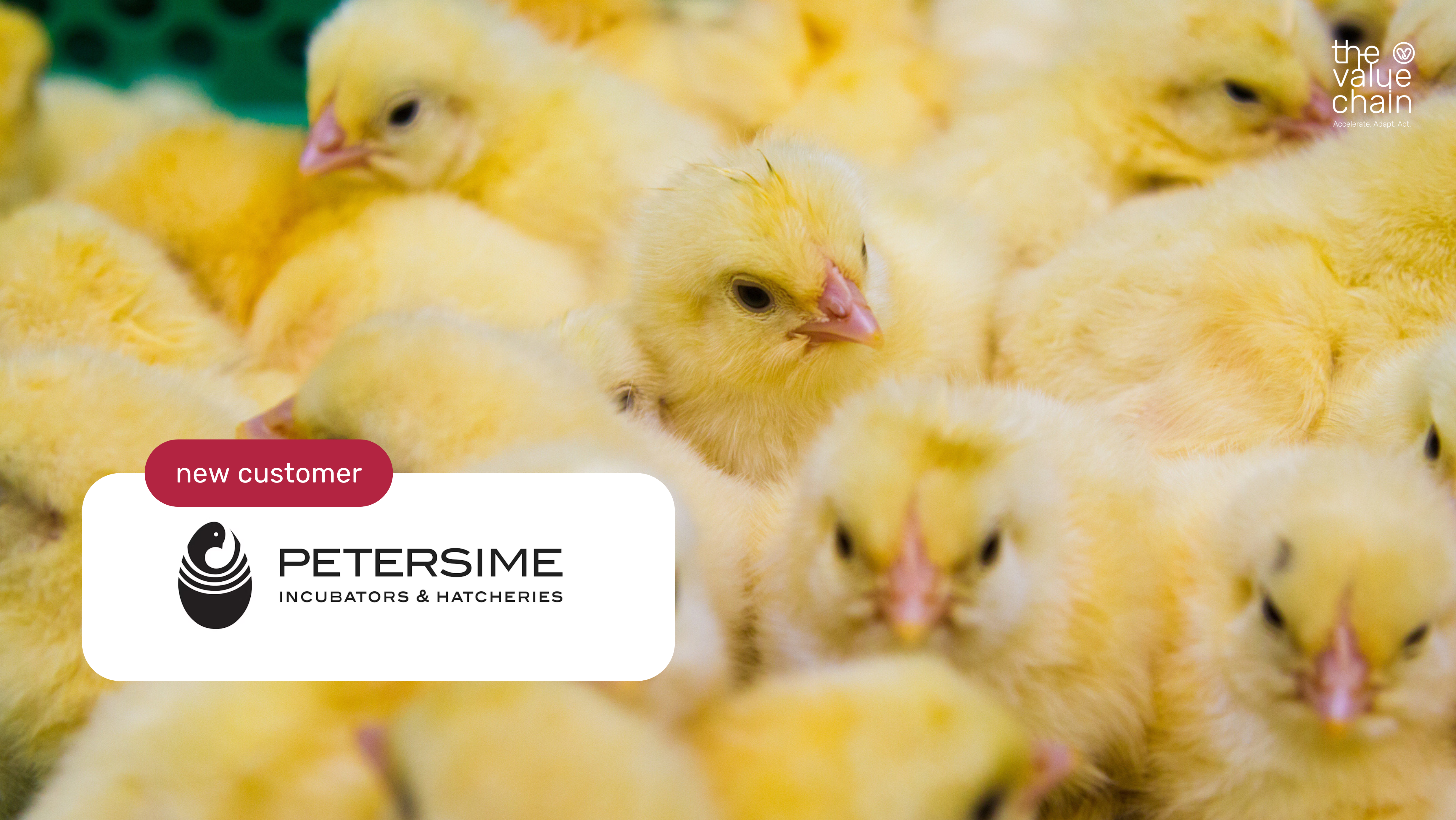 TheValueChain | Proud to welcome Petersime to our valued customer base 🐣